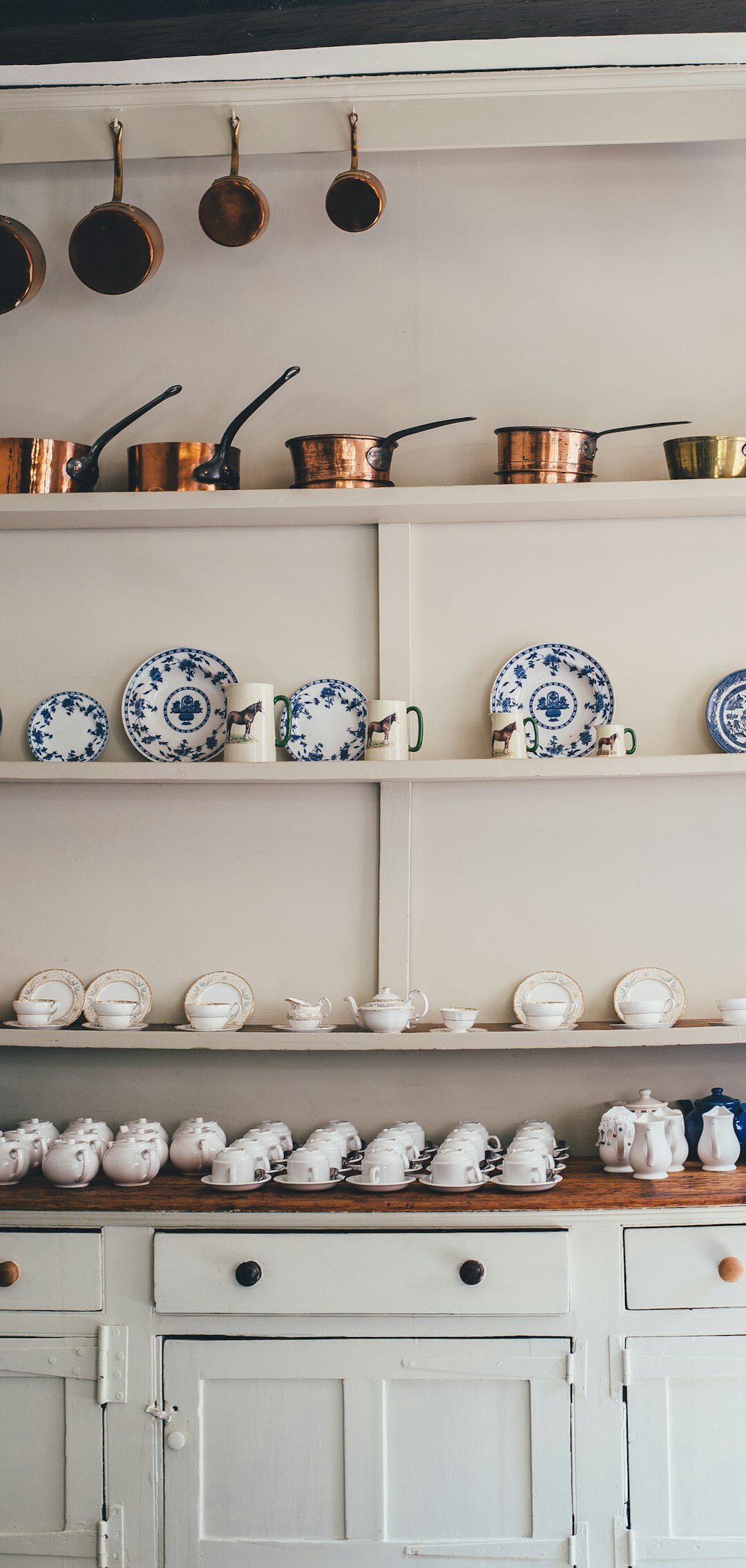 organized kitchen shelves