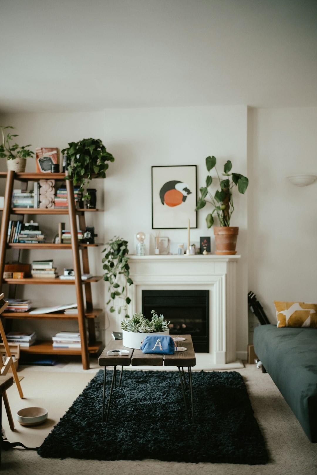 organized living room shelves